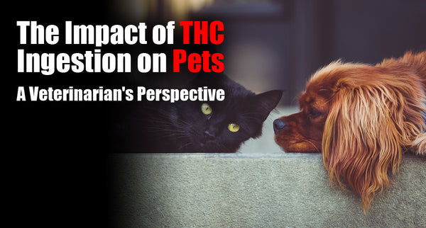 The Impact of THC Ingestion on Pets: A Veterinarian's Perspective