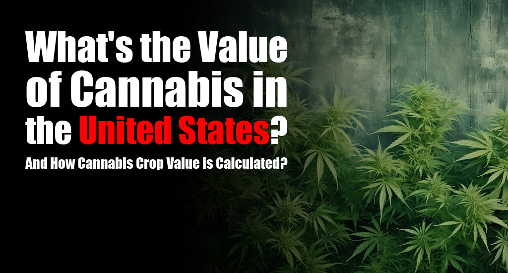 whats-the-value-of-cannabis-in-the-united-states